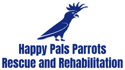 Happy Pals Parrots Rescue and Rehabilitation