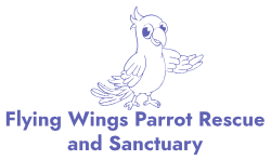 Flying Wings Parrot Rescue and Sanctuary